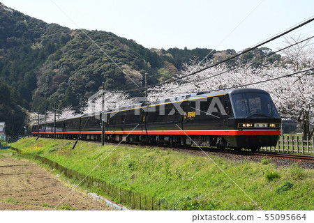 櫻花和度假村火車 55095664