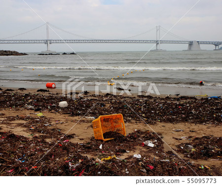 Environment pollution appear at gwangalli beach 55095773