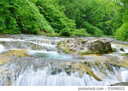 新鮮的綠色芋頭河谷流程 新鮮的綠色芋頭河谷流程 55096022