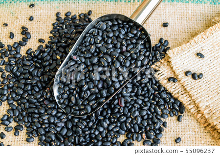 black beans seeds black beans seeds 55096237