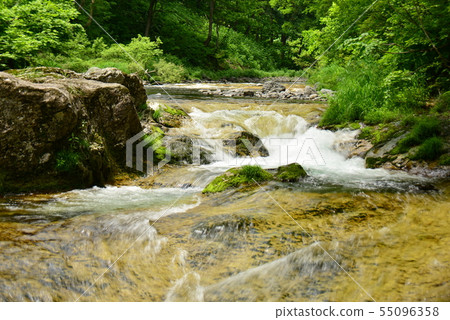 Fresh green fish flow 55096358