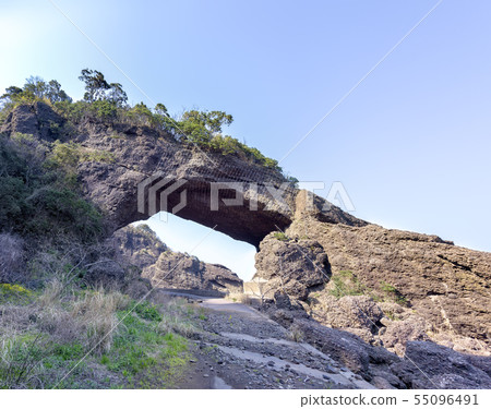 Hot bird gate garden (March Echizen sunny) 55096491
