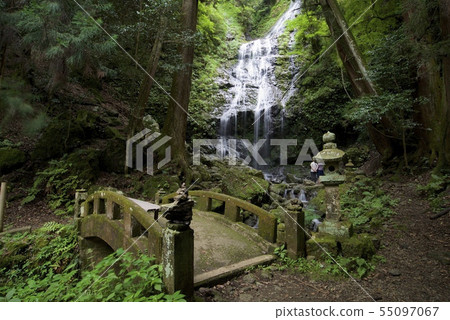 飛龍(兵庫縣佐用郡佐用町) 飛龍(兵庫縣佐用郡佐用町) 55097067