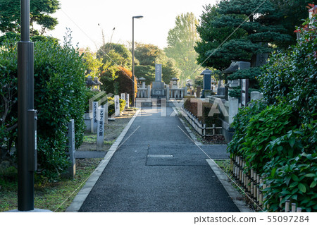 Yanaka cemetery autumn 55097284