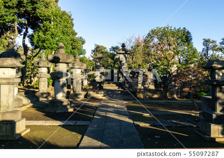 Yanaka cemetery autumn 55097287