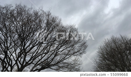 Late autumn 55099668