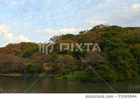 橫濱三溪園 橫濱三溪園 55099844