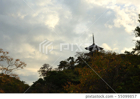 橫濱三溪園 橫濱三溪園 55099857