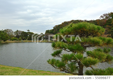Yokohama Sankeien Garden 55099877