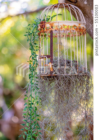 Rusty Decorative Bird Cage With Air Plant And 55100083