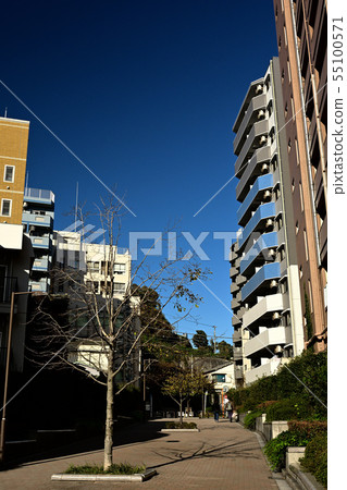 Scenery of Yokohama · Kanagawa Ward Scenery of Yokohama · Kanagawa Ward 55100571