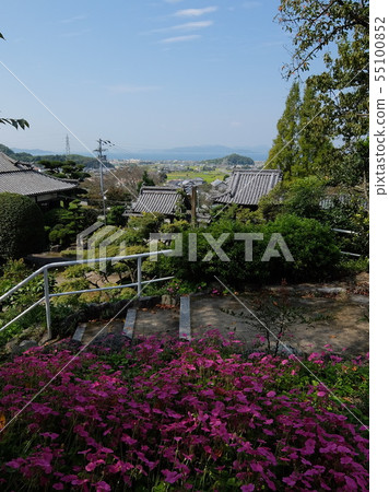 Kono，Zennoji的誕生地 55100852