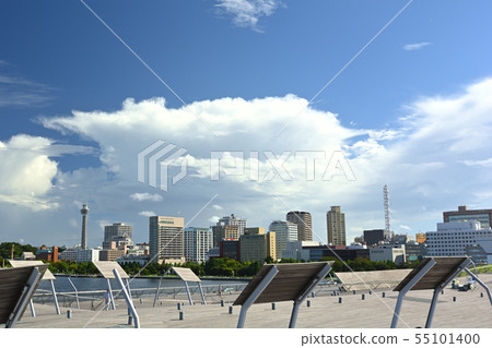 大橫濱橋 55101400