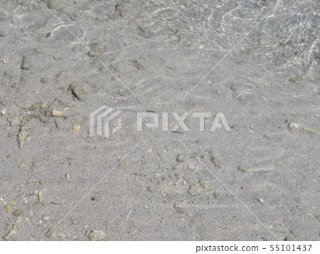 There is a shadow on the surface of the water 55101437