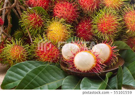 Fresh Rambutan. 55101559
