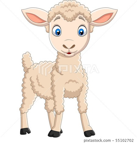Cartoon happy lamb isolated on white background Cartoon happy lamb isolated on white background 55102702