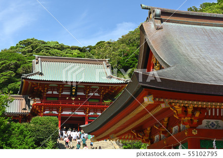 Kamakura · Tsurugaoka Hachimangu Shrine Kamakura · Tsurugaoka Hachimangu Shrine 55102795