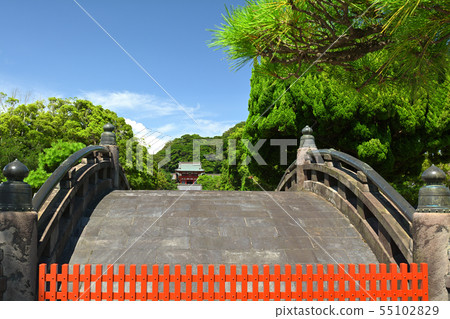 Kamakura · Tsurugaoka Hachimangu Shrine 55102829