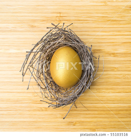 Golden egg opportunity with retirement planning Golden egg opportunity with retirement planning 55103516