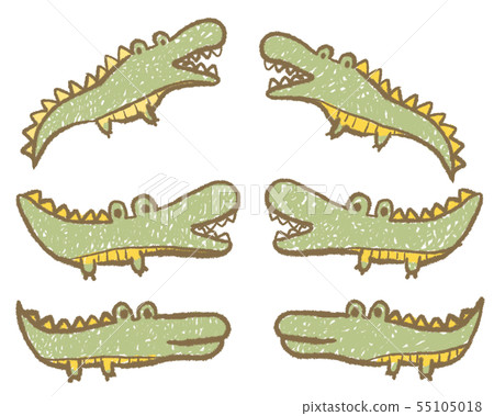All right crocodile 55105018