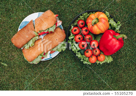CLose-up of delicious sandwiches with veggies.Bowl CLose-up of delicious sandwiches with veggies.Bowl 55105270