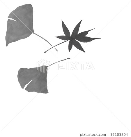 秋天的落葉和銀杏（墨水的手繪插圖） 55105804