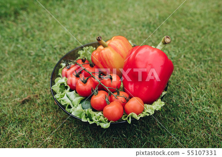 Closeup of vegetables lying on plate on grass Closeup of vegetables lying on plate on grass 55107331
