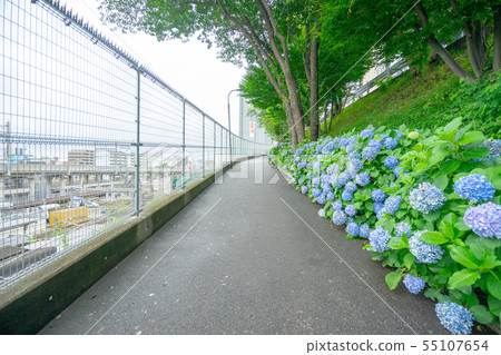 Tabata Station South exit ticket gate around Fudosaka Tabata Station South exit ticket gate around Fudosaka 55107654