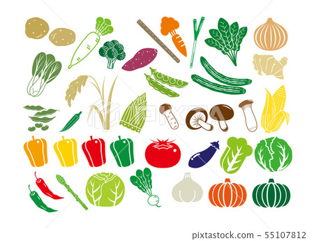 Vegetable Icon Set 55107812