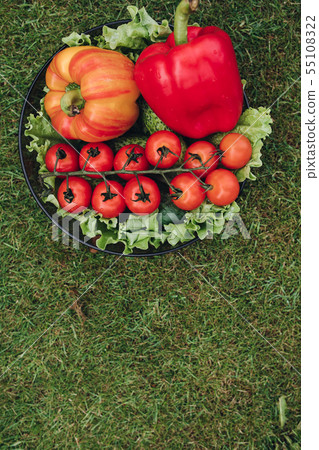 Few of fresh appetizing vegetable in plate on Few of fresh appetizing vegetable in plate on 55108322