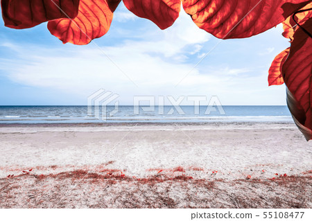 Mae Ram Phueng Beach in Rayong, Thailand 55108477