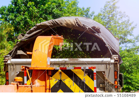 Bigmachine chipper blowing tree branches cut Bigmachine chipper blowing tree branches cut 55108489