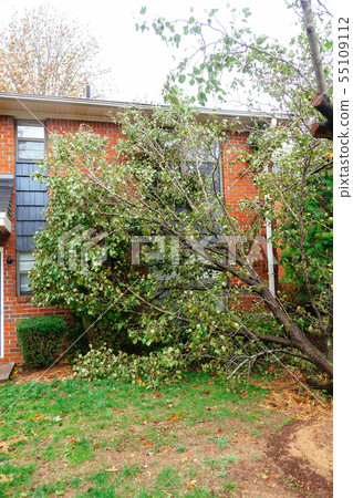 Hurricane flood and wind damage 55109112