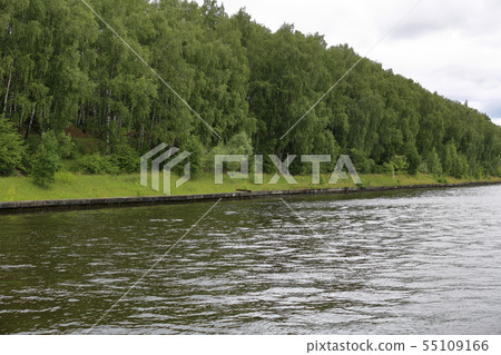 Deciduous forest and river Deciduous forest and river 55109166