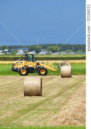 Taking a summer landscape of farm work harvesting grass and making pasture rolls in Esashi-cho, Hokkaido 55109531