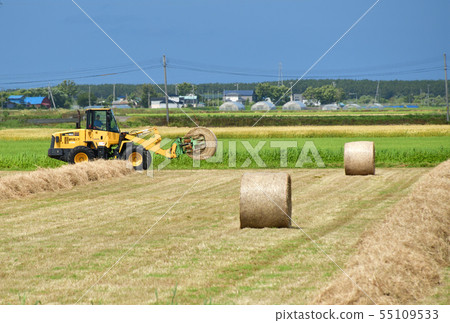 Taking a summer landscape of farm work harvesting grass and making pasture rolls in Esashi-cho, Hokkaido Taking a summer landscape of farm work harvesting grass and making pasture rolls in Esashi-cho, Hokkaido 55109533
