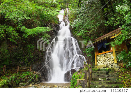 Articulatory waterfall 55110857