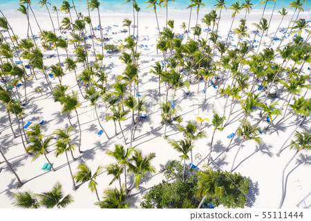 Aerial view from drone on caribbean seashore with 55111444