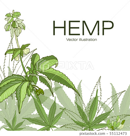 Hand drawn illustration. 55112473