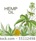Hand drawn illustration. 55112498