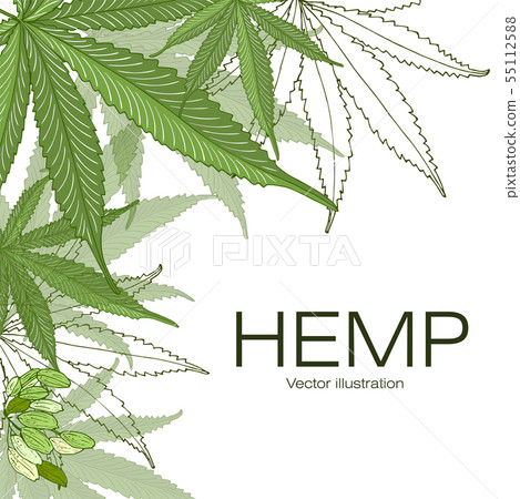 Hand drawn illustration. 55112588