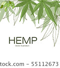 Hand drawn illustration. 55112673