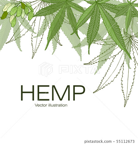 Hand drawn illustration. 55112673