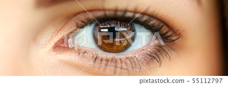 Female left brown coloured amazing shiny eye Female left brown coloured amazing shiny eye 55112797