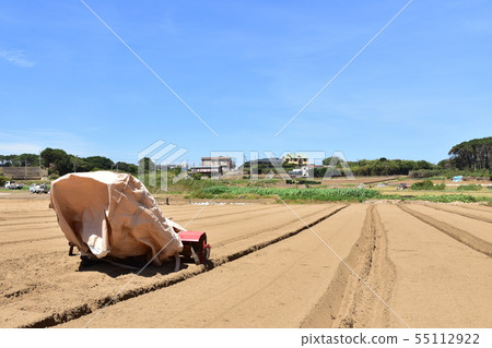 Landscape along the Shishi Electric Railway Landscape along the Shishi Electric Railway 55112922