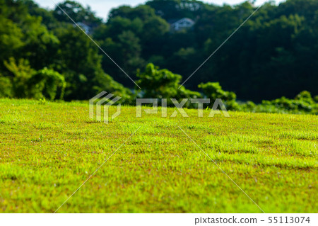 Japan countryside 55113074