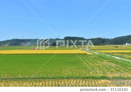 沿著成田線的風景 沿著成田線的風景 55116192