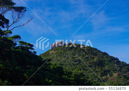 屋久島山的豆腐岩石騎的高板山 屋久島山的豆腐岩石騎的高板山 55116870