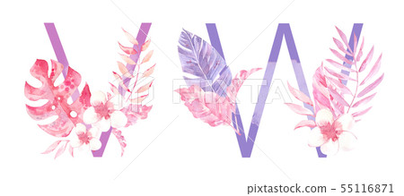 Watercolor Hand Drawn tropic letters monograms or logo. Uppercase V, W with jungle herbal Watercolor Hand Drawn tropic letters monograms or logo. Uppercase V, W with jungle herbal 55116871