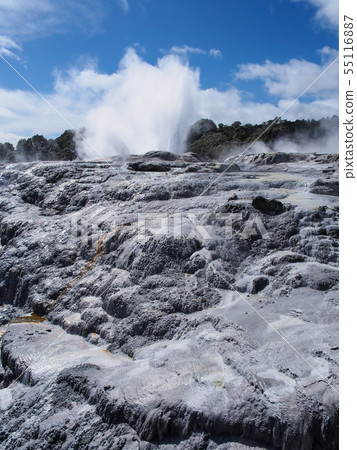 Rotorua te Puia Pohutzgeiser Pohutu Geyser, Te Puia, Rotorua Rotorua te Puia Pohutzgeiser Pohutu Geyser, Te Puia, Rotorua 55116887